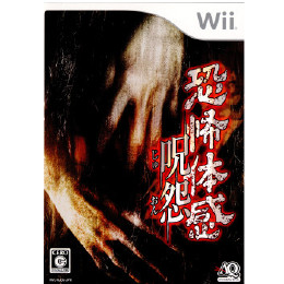 [Wii]恐怖体感 呪怨(じゅおん)