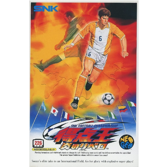 [NG]得点王 炎のリベロ(ROMカートリッジ/ロムカセット)