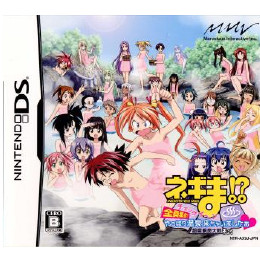 [NDS]ネギま!？超麻帆良大戦チュウ チェックイ〜ン 全員集合!やっぱり温泉来ちゃいましたぁ
