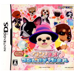 [NDS]ワンタメ うらないチャンネル
