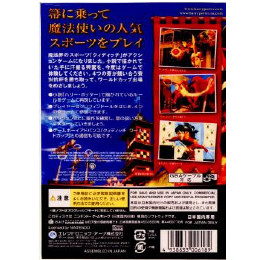 [GC]ハリー・ポッター　クィディッチ・ワールドカップ(GC)