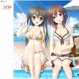 [PS4]リプキス 限定版VirtualBox