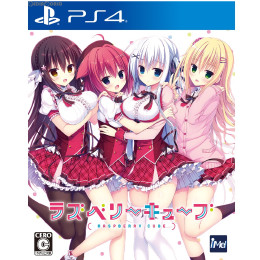 [PS4]ラズベリーキューブ(RASPBERRY CUBE) 通常版