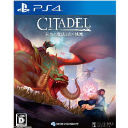 [PS4]シタデル:炎の魔法と古の城塞