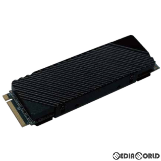 [PS5]PS5用内蔵M.2SSD 1TB IG5236 アローン(ALG-P5M2SD1T36)