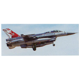 [PTM]07393 1/48 F-16D ブロック52アドバンスド F.F. シンガポール空軍スペシャル プラモデル ハセガワ