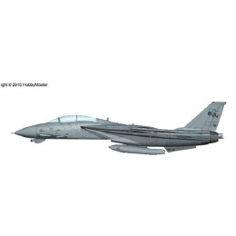 [PTM]HA5202 1/72 F-14D トムキャット 第31戦闘攻撃飛行隊 ファイナルクルーズ 完成品 ホビーマスター