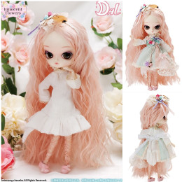 [DOL]DAL(ダル) チェリースイート イノセントフラワーズ 完成品 ドール グルーヴ