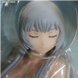 [FIG]趙雲子龍 ピュアセクシーver. 一騎当千XX 1/8完成品フィギュア SkyTube(スカイチューブ)