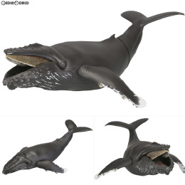 [FIG]ソフビトイボックス013 クジラ(ザトウクジラ) 完成品 フィギュア(STB013) 海洋堂