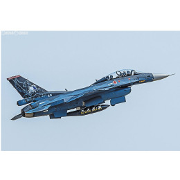 [PTM]1/48 三菱 F-2B 21SQ 40周年記念 ディテールアップバージョン プラモデル(07457) ハセガワ