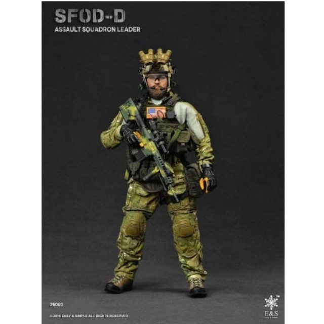 [FIG]SFOD-D アサルト スクァドロン リーダー 1/6 アクションフィギュア Easy&Simple