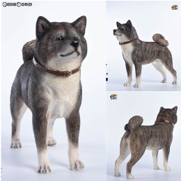 [FIG]1/6 秋田犬 C 完成品 フィギュア(JXK007C) JXDスタジオ