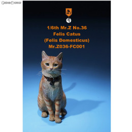 [FIG]1/6 家猫 FC001 完成品 フィギュア(MRZ036-FC001) ミスターZ