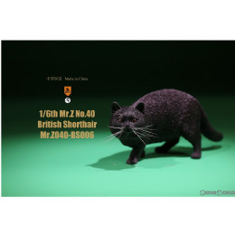 [FIG]1/6 ブリティッシュショートヘア BS006 完成品 フィギュア(MRZ040-BS006) ミスターZ