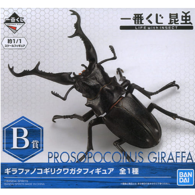 [FIG]ギラファノコギリクワガタ 「一番くじ 昆虫 LIFE with INSECT」 B賞 BANDAI SPIRITS