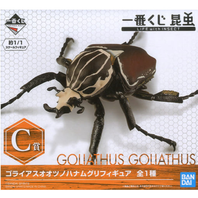 [FIG]ゴライアスオオツノハナムグリ 「一番くじ 昆虫 LIFE with INSECT」 C賞 BANDAI SPIRITS