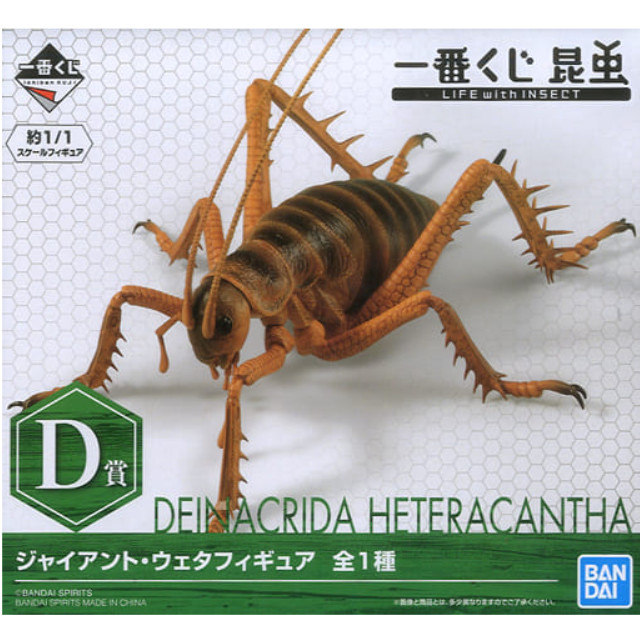[FIG]ジャイアント・ウェタ 「一番くじ 昆虫 LIFE with INSECT」 D賞 BANDAI SPIRITS