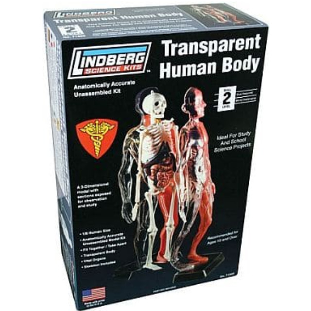[PTM]1/6 全身骨格&内臓 [LN71305] リンドバーグ(LINDBERG) プラモデル