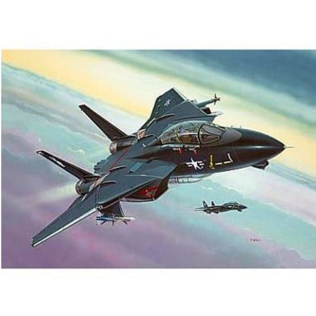 [PTM]1/144 F14A トムキャット ブラックバニー 「1/144 ミリタリーエアクラフト」[04029] レベル(Revell) プラモデル