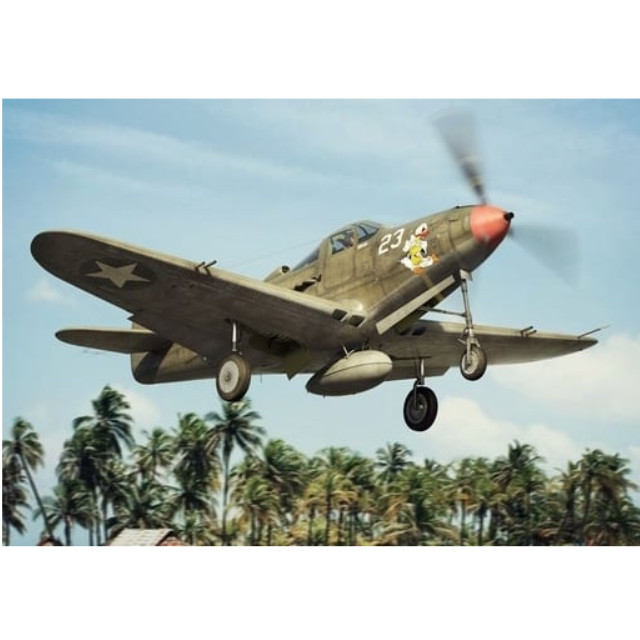 [PTM]1/144 P-39 D/F/K エアラコブラ [HAUBRP144011] BRENGUN(ブレンガン) プラモデル