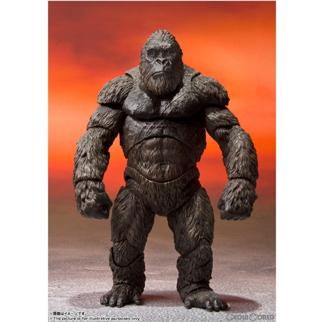 [FIG]S.H.MonsterArts(モンスターアーツ) KONG from Movie 『GODZILLA VS. KONG』(ゴジラvsコング)(2021)(仮) 完成品 可動フィギュア バンダイスピリッツ