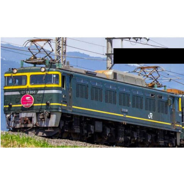 [RWM]HO-2010 JR EF81形電気機関車(トワイライトエクスプレス) HOゲージ 鉄道模型 TOMIX(トミックス)