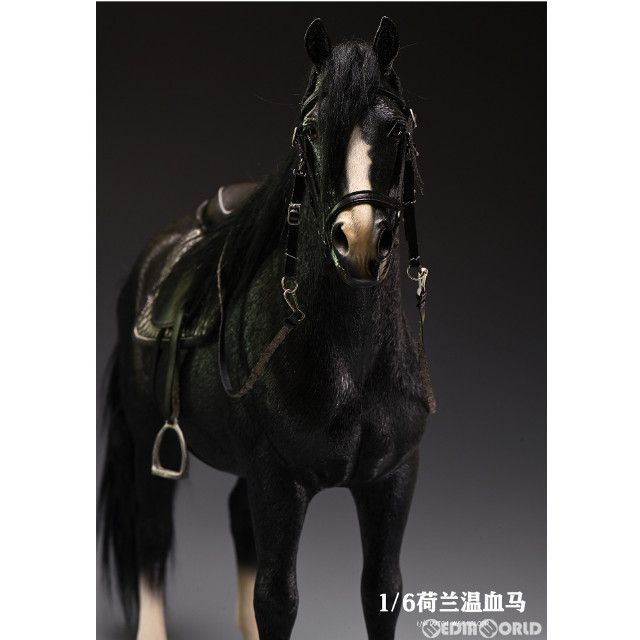 [FIG]ダッチ・ウォームブラッド E 1/6 完成品 フィギュア(JXK145E) JXKスタジオ