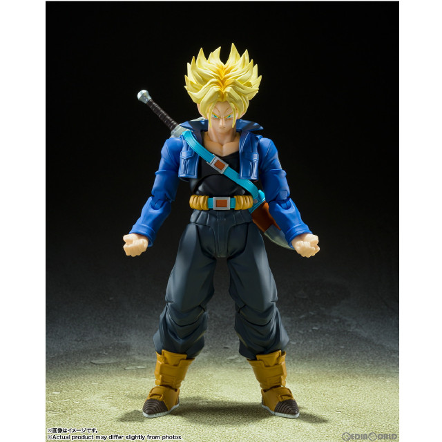 魂ウェブ商店限定 S.H.Figuarts(フィギュアーツ) 魔人ベジータ ドラゴンボールZ 完成品 可動フィギュア バンダイスピリッツ