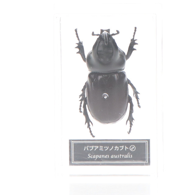 [FIG]パプアミツノカブト(雄) 「世界の昆虫 DATA BOOK 第48号」 付録 フィギュア デアゴスティーニ・ジャパン