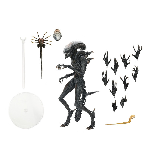 [FIG] スコーチド ゼノモーフ エイリアン:ロムルス 完成品 アルティメット 7インチ アクションフィギュア ネカ