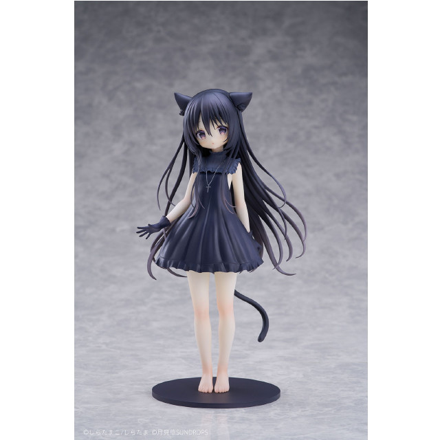 [FIG] アクリルキーホルダー付属 ノワール 星空鉄道とシロの旅 1/7 完成品 フィギュア 月見草 SUNDROPS