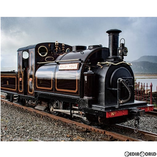 [RWM]51-251D Large England Welsh Pony(BROWN)(ラージイングランド ウェルシュ・ポニー ブラウン)(動力付き) ナローゲージ 鉄道模型 KATO(カトー)/PECO(ピィコ)