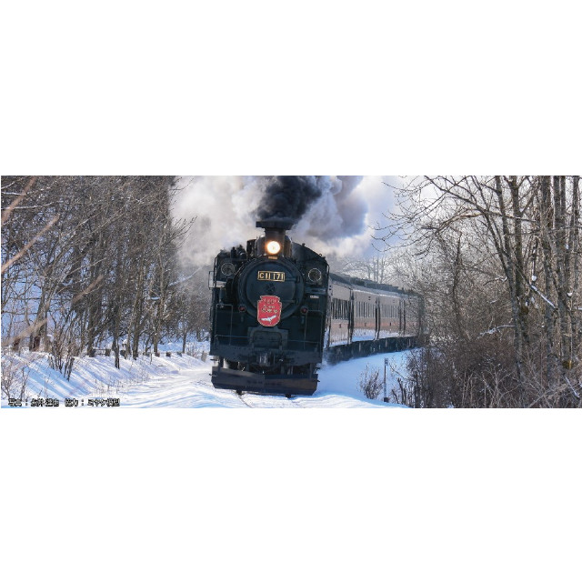 RWM]10-1597 東武鉄道 東武スカイツリーライン 50050型 6両基本