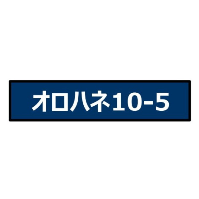 [RWM] A9324 オロハネ10-5 青+淡緑帯 長野運転所(動力無し) Nゲージ 鉄道模型 MICRO ACE(マイクロエース)