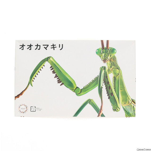 [PTM]いきもの編 オオカマキリ 自由研究シリーズ No.23 プラモデル(170824) フジミ模型(FUJIMI)
