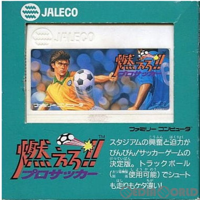 [FC] 燃えろ!!プロテニス