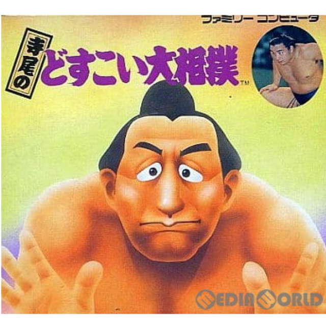 [FC] 寺尾のどすこい大相撲