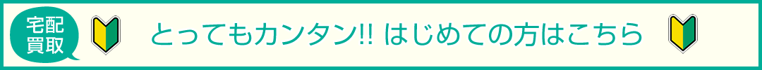 ようこそ！カイトリワールドへ♪