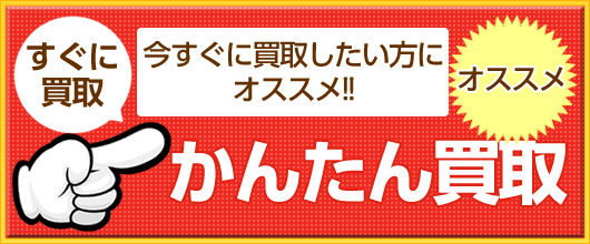 変身グッズ買取｜高価で売るならカイトリワールド