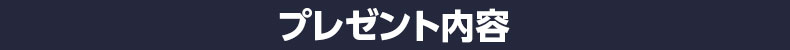 プレゼント内容見出し